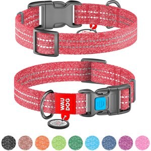 WAUDOG QR Passport Cotton Dog Collar, Red, Medium