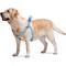 Show in main carousel: WAUDOG Re-Cotton Recycled Material QR Passport Dog Harness, Blue, Small slide 4 of 6