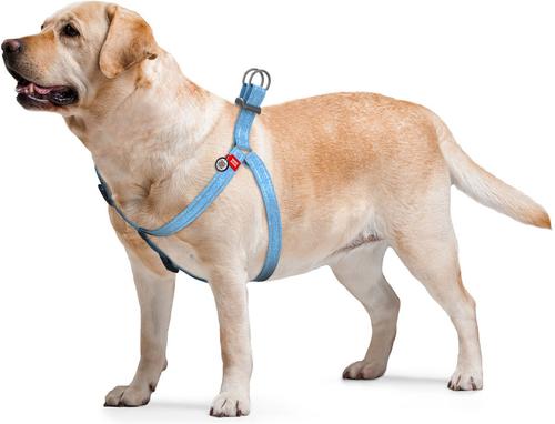 Show full view: WAUDOG Re-Cotton Recycled Material QR Passport Dog Harness, Blue, Small slide 4 of 6
