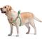 Show in main carousel: WAUDOG Re-Cotton Recycled Material QR Passport Dog Harness, Green, Large slide 4 of 6