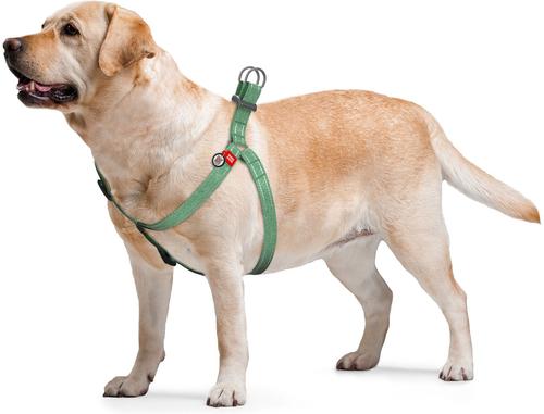 Show full view: WAUDOG Re-Cotton Recycled Material QR Passport Dog Harness, Green, Large slide 4 of 6