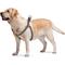 Show in main carousel: WAUDOG Re-Cotton Recycled Material QR Passport Dog Harness, Grey, Large slide 4 of 6