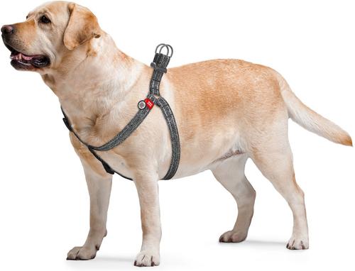Show full view: WAUDOG Re-Cotton Recycled Material QR Passport Dog Harness, Grey, Large slide 4 of 6