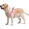 Show in main carousel: WAUDOG Re-Cotton Recycled Material QR Passport Dog Harness, Pink, Large slide 5 of 7