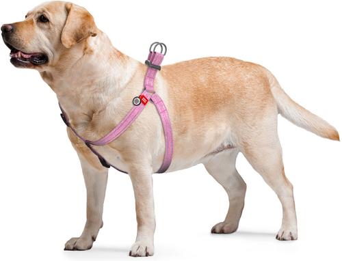 Show full view: WAUDOG Re-Cotton Recycled Material QR Passport Dog Harness, Pink, Large slide 5 of 7