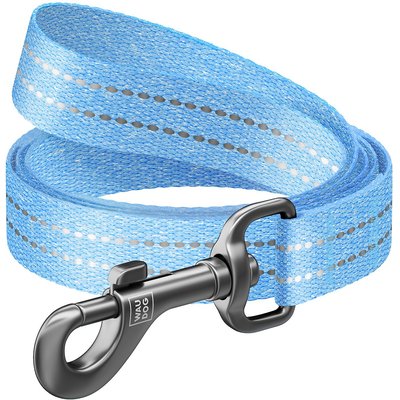 WAUDOG WAUDOG Reflective Cotton Dog Leash, Blue, Medium, 10-ft