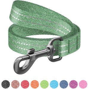 WAUDOG Reflective Cotton Dog Leash, Green, Large, 10-ft