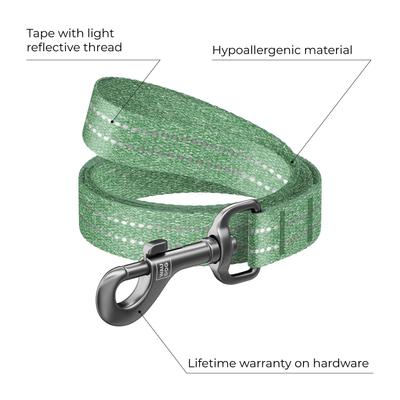 Show full view: WAUDOG Reflective Cotton Dog Leash, Green, Large, 10-ft slide 2 of 7