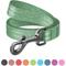 Show in main carousel: WAUDOG Reflective Cotton Dog Leash, Green, Small/Medium, 10-ft slide 1 of 7
