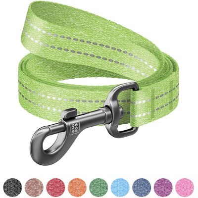 WAUDOG WAUDOG Reflective Cotton Dog Leash, Lime Green, Large, 10-ft