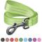 Show in main carousel: WAUDOG Reflective Cotton Dog Leash, Lime Green, Small, 16-ft slide 1 of 7