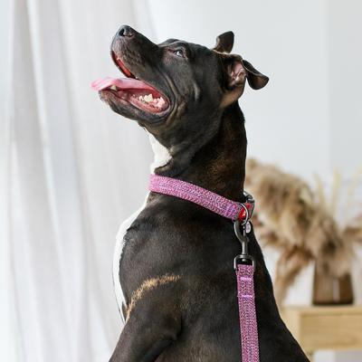 Show full view: WAUDOG Reflective Cotton Dog Leash, Pink, Large/XX-Large, 10-ft slide 6 of 8