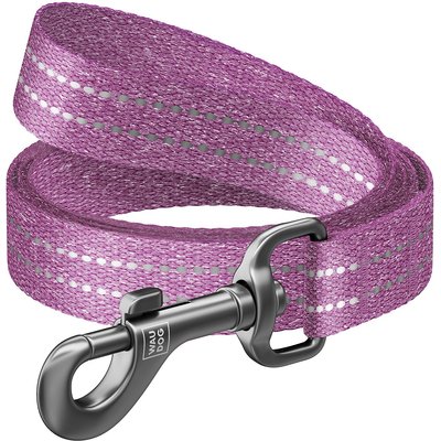 WAUDOG WAUDOG Reflective Cotton Dog Leash, Purple, Large/XX-Large, 5-ft