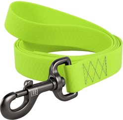 WAUDOG Waterproof Dog Leash, Green, Large: 10-ft long, 1-in wide