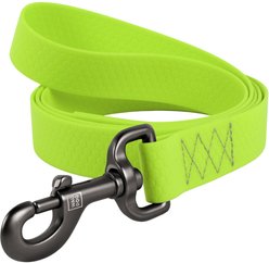 WAUDOG Waterproof Dog Leash, Green, Medium: 10-ft long, 3/4-in wide