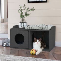 Way Basics Double Hole with 1 Door Cat House, Medium, Charcaol Black