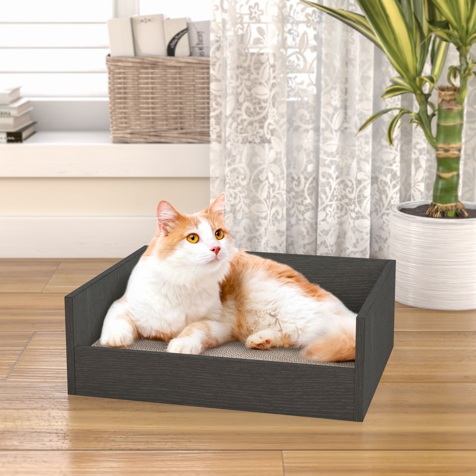 Way Basics Eco zBoard Bed Deluxe Cat Scratcher, Charcoal Black, Medium