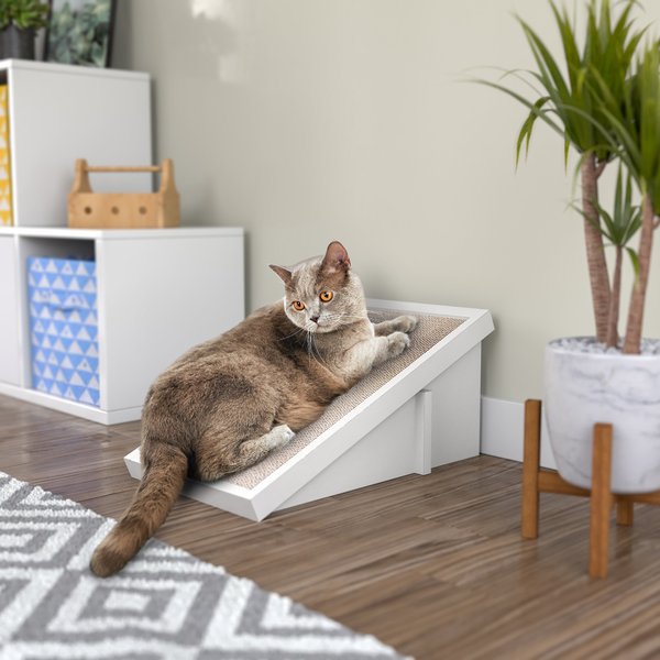 Way Basics Katzone Scratching Ramp with Catnip