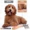 Show in main carousel: We Love Doodles Dematting Rake Dog Comb, Brown slide 4 of 8