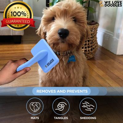 Slide Slicker WE LOVE DOODLES Professional Grooming Slicker Dog Brush, Small - Chewy.com