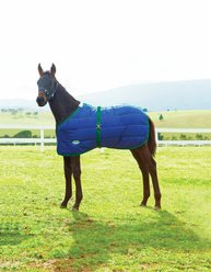 WeatherBeeta 420D Foal Standard Neck Medium Horse Blanket, Navy/Hunter, Growing 42-57 inches
