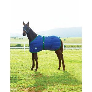 WeatherBeeta 420D Foal Standard Neck Medium Horse Blanket, Navy/Hunter, Growing 42-57 inches