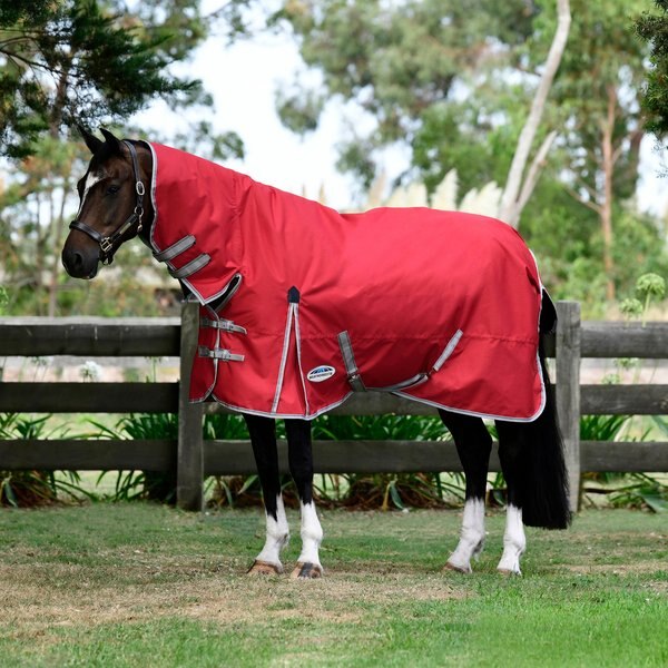 WeatherBeeta 420D Foal Standard Neck Medium Horse Blanket
