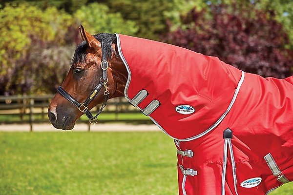 Show full view: WeatherBeeta Comfitec Classic Neck Rug Medium Horse Blanket, Red/Silver/Navy, Warmblood slide 1 of 1