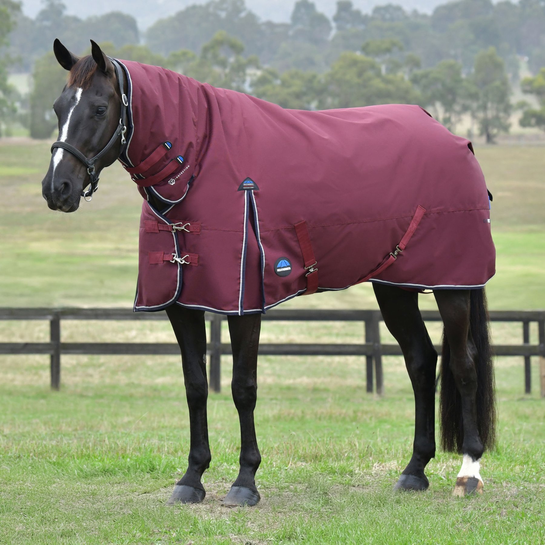 WeatherBeeta ComFiTec Essential 50G Waterproof Shoulder Gussets Reflective Rip-Stop Tail Flap Cover Horse Turnout Combo, Burgundy/Navy, 87-in
