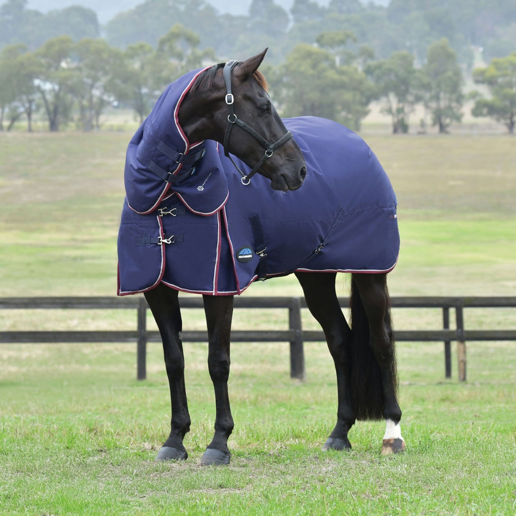 WeatherBeeta ComFiTec Essential Detach-A-Neck 360G Waterproof Shoulder Gussets Reflective Rip-Stop Tail Flap Cover Horse Turnout Blanket, Navy/Burgundy, 84-in