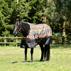 WeatherBeeta ComFiTec Essential Standard Neck Lite Horse Turnout, Western Sunset Print, 84-in