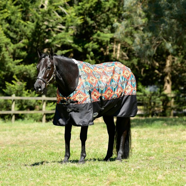 Saxon Defiant 1200D Standard Neck Lite Horse Turnout