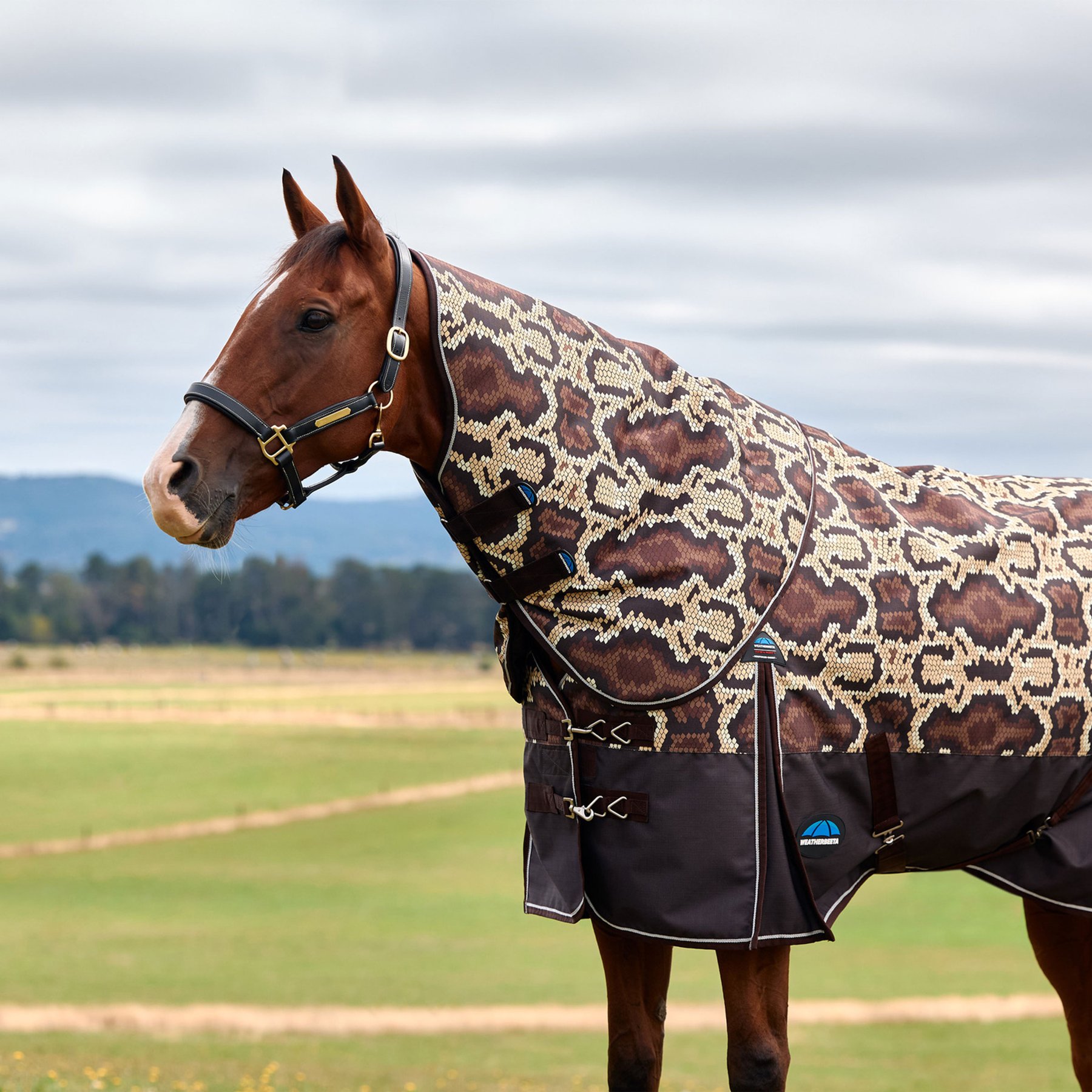 WeatherBeeta ComFiTec Legend 220G Rattler Waterproof Reflective Lined Rip-Stop Horse Turnout Neck Cover, Small