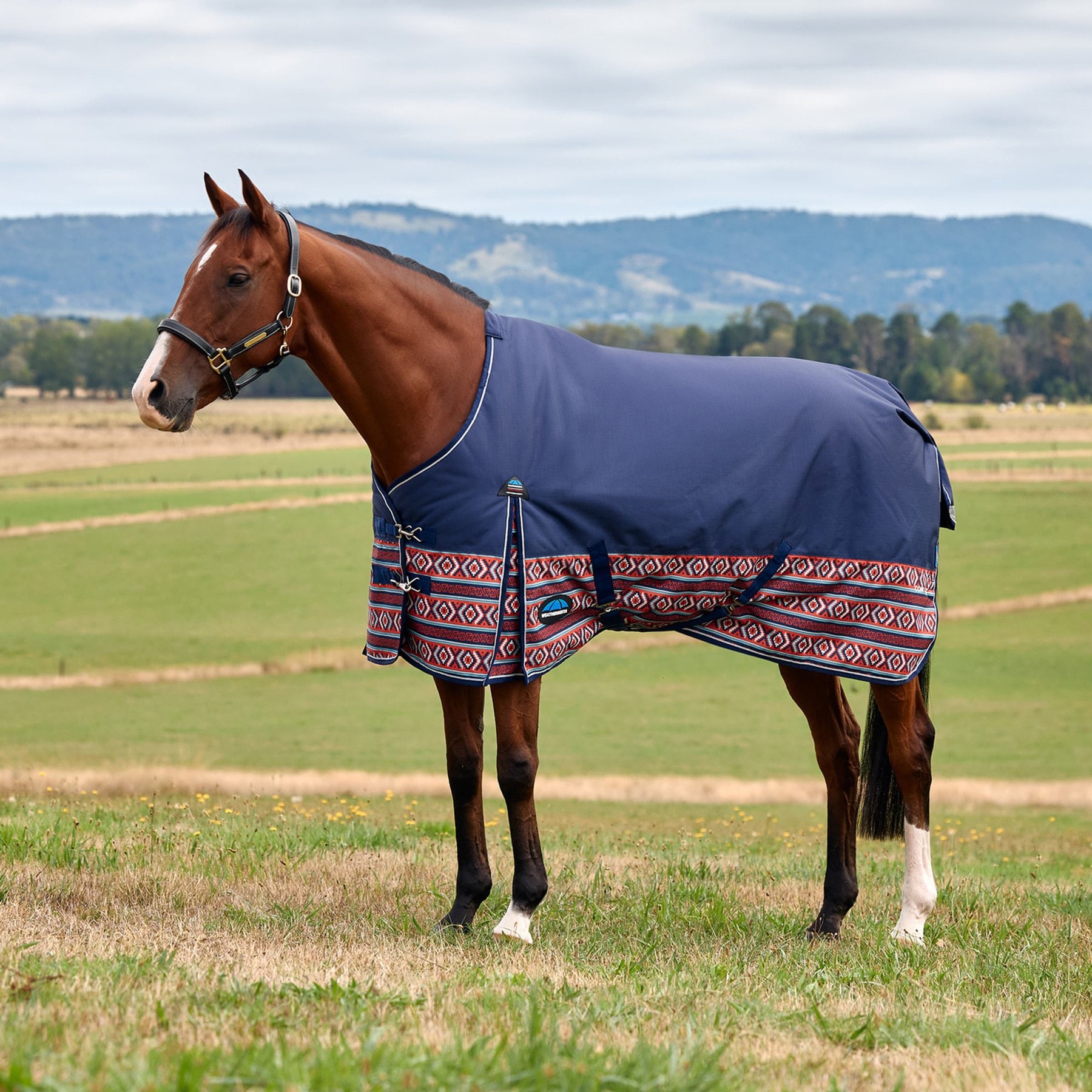 WeatherBeeta ComFiTec Legend Az-Tech 0G Waterproof Shoulder Gussets Reflective Rip-Stop Tail Flap Cover Horse Turnout Sheet, 84-in
