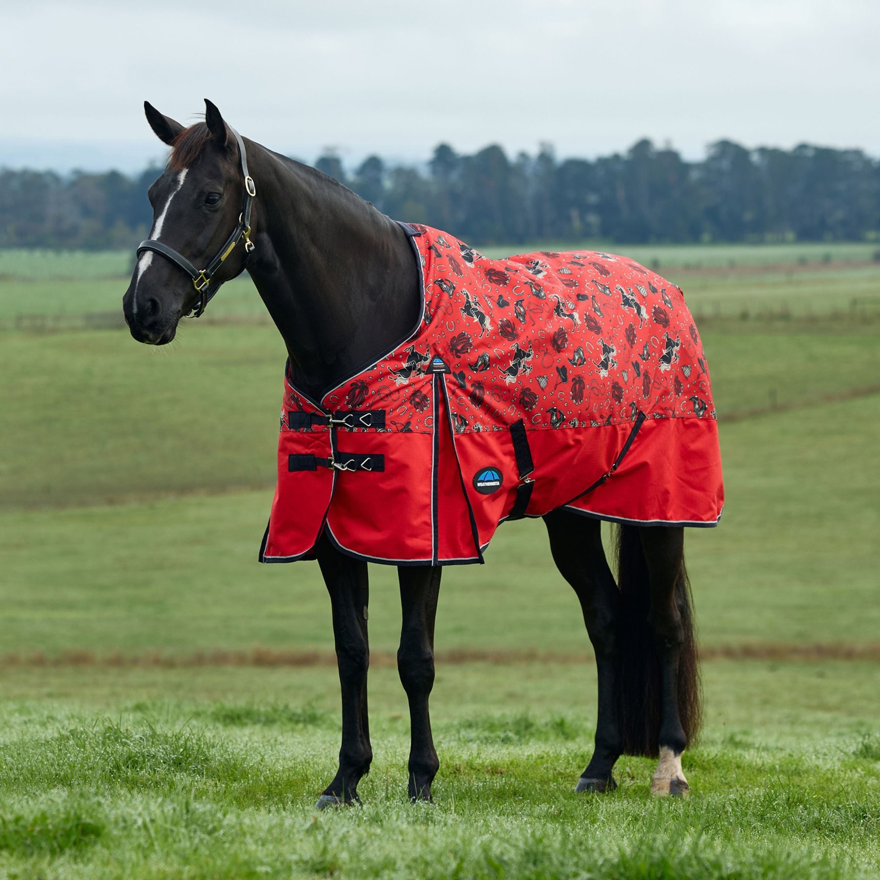 WeatherBeeta ComFiTec Legend Rodeo Print 0G Waterproof Shoulder Gussets Reflective Rip-Stop Tail Flap Cover Horse Turnout Sheet, 75-in
