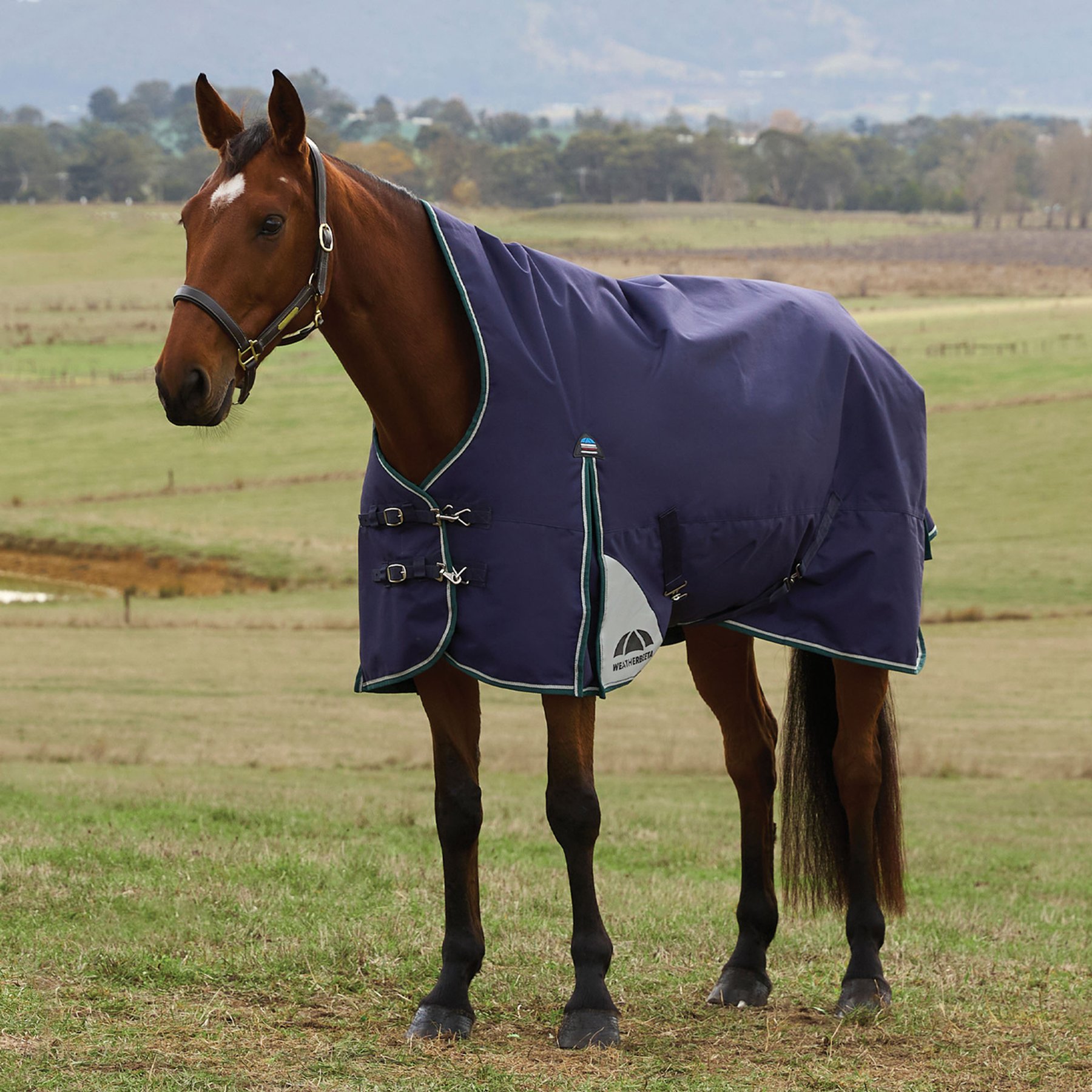WeatherBeeta ComFiTec Plus Dynamic High Neck 100G Waterproof Padded Withers Shoulder-Gussets Rip-Stop Tail Flap Cover Horse Turnout Blanket, Navy/Forest Green, 84-in
