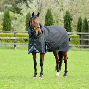 WeatherBeeta Comfitec with Therapy-Tec Channel Quilt Detach-A-Neck Medium Horse Blanket
