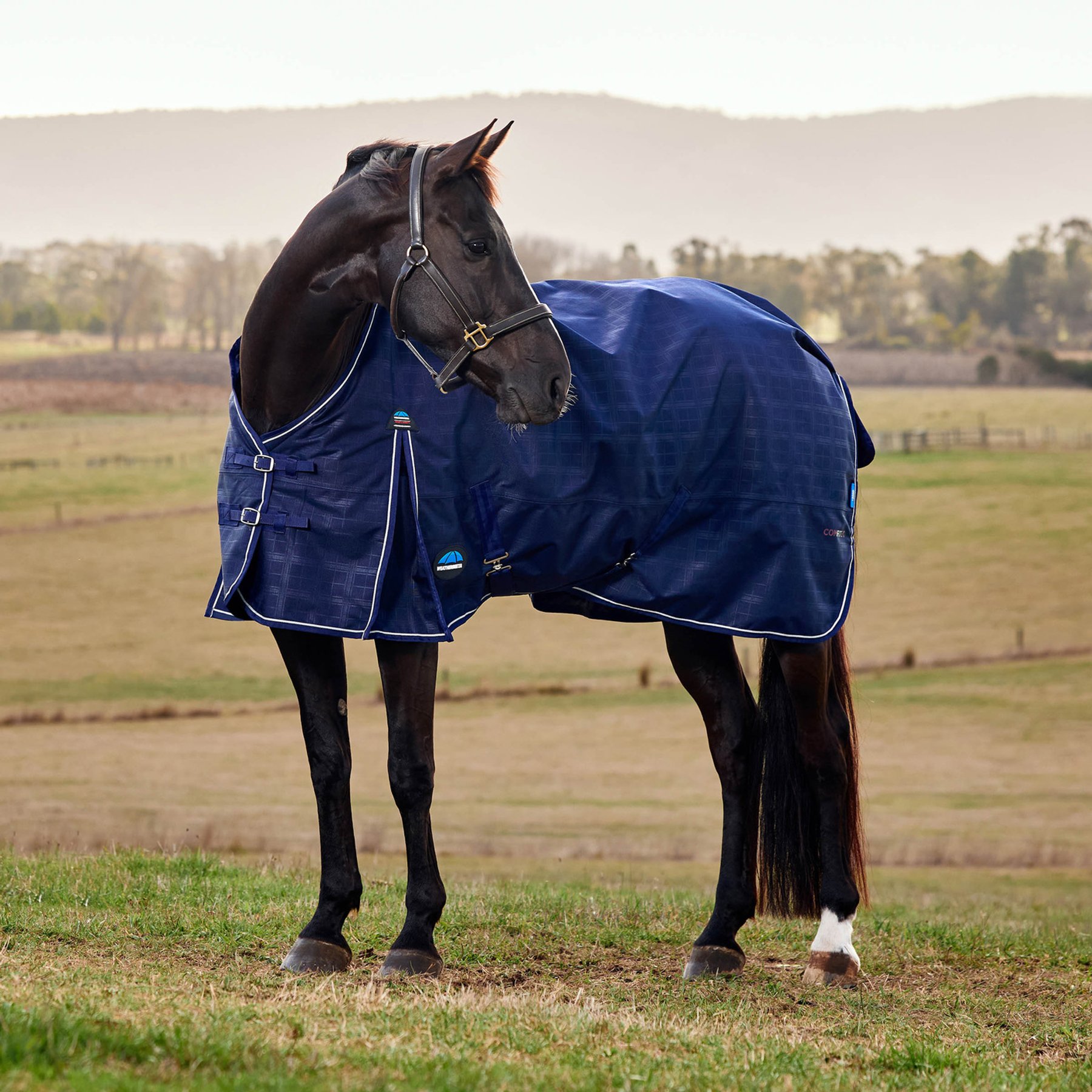 WeatherBeeta ComFiTec Prelim Embossed Plaid 100G Waterproof Shoulder Gussets Reflective Rip-Stop Tail Flap Cover Horse Turnout Blanket, Navy, 78-in