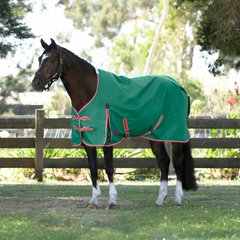 WeatherBeeta ComFiTec Prelim Standard Neck Lite Horse Turnout, Dark Green/Red/White, 78-in