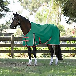WeatherBeeta ComFiTec Prelim Standard Neck Lite Horse Turnout, Dark Green/Red/White, 81-in slide 1 of 3