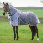 Best Horse Blankets