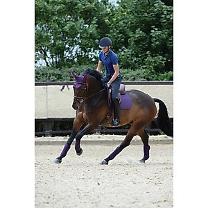 WeatherBeeta Prime Jump Shaped Horse Saddle Pad, Purple Penant