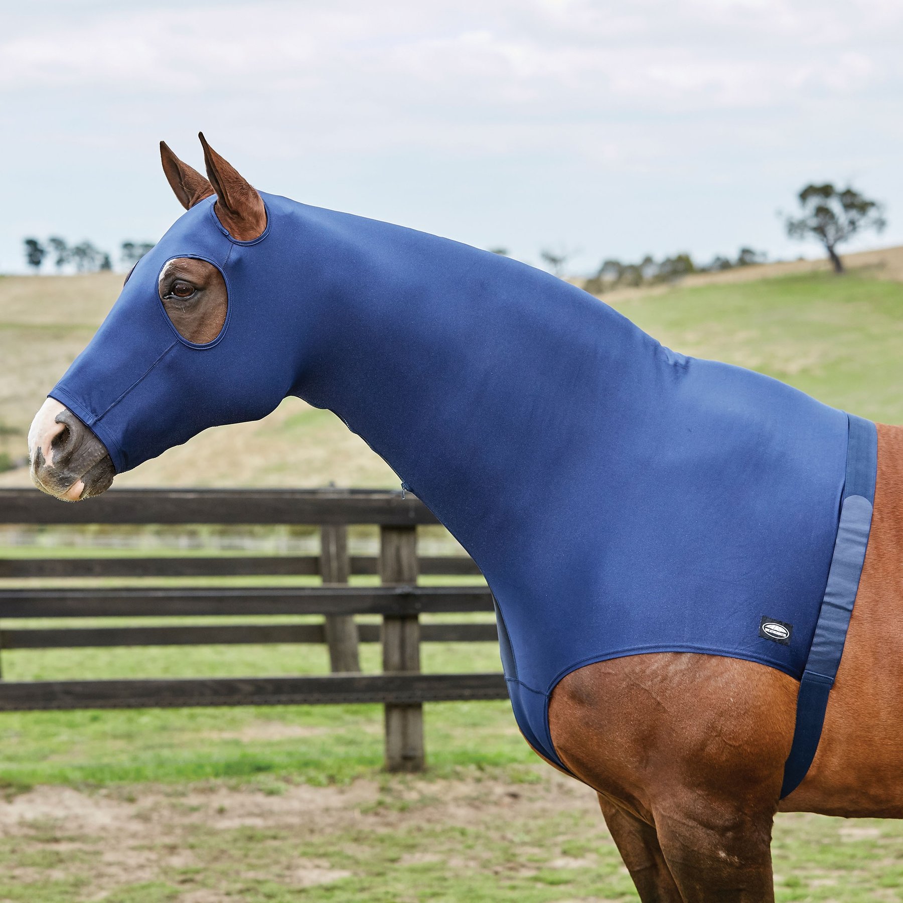 WeatherBeeta Stretch Hood with Zip Horse Hood, Navy, Cob
