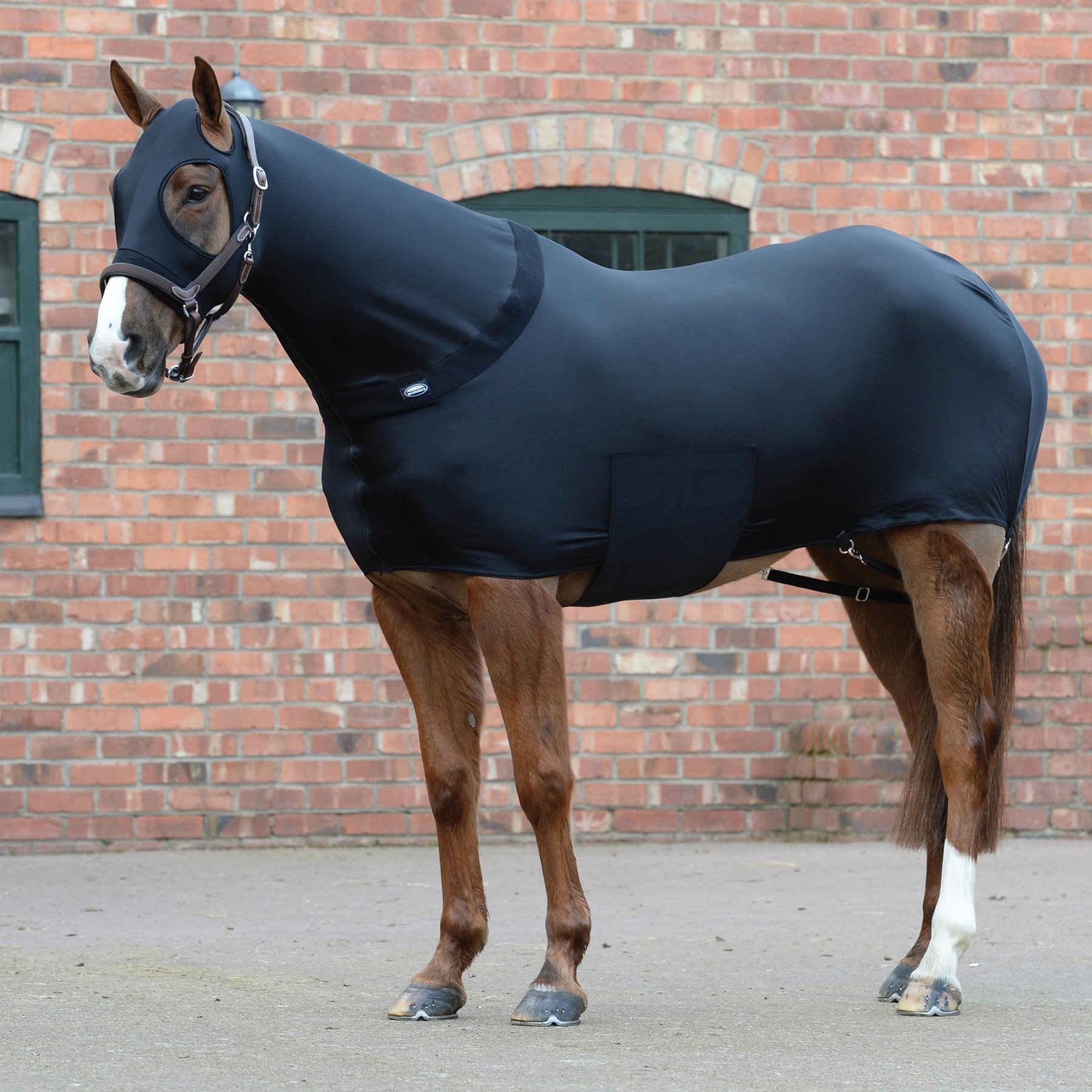 WeatherBeeta Stretch Rug Horse Hood, Black, Cob