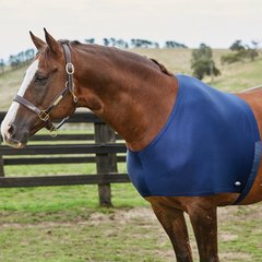 WeatherBeeta Stretch Shoulder Guard Horse Hood, Navy, Pony