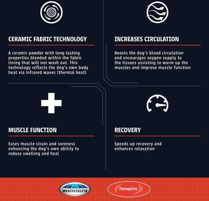 Show full view: WeatherBeeta Therapy-Tec Fleece Combo Neck Horse Blanket, Black/Silver/Red, 60-in slide 3 of 4