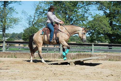 Show full view: Weaver Equine AirFlex Roper Cinch & Roll Snug Horse Cinch Buckle, 28-in slide 5 of 8