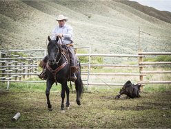 Weaver Equine AirFlex Roper Cinch & Roll Snug Horse Cinch Buckle, 30-in slide 2 of 9