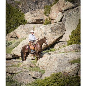 Weaver Equine AirFlex Roper Cinch & Roll Snug Horse Cinch Buckle, 30-in