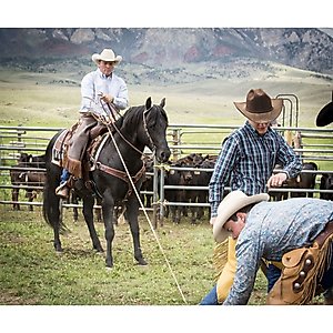 Weaver Equine AirFlex Roper Cinch & Roll Snug Horse Cinch Buckle, 32-in